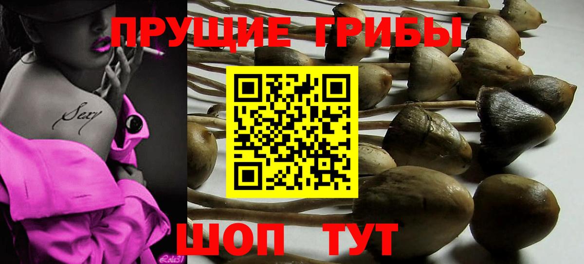 Псилоцибиновые грибы Cubensis Железноводск